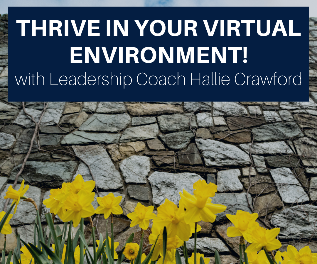 Thrive in Your Virtual Environment! Event Poster