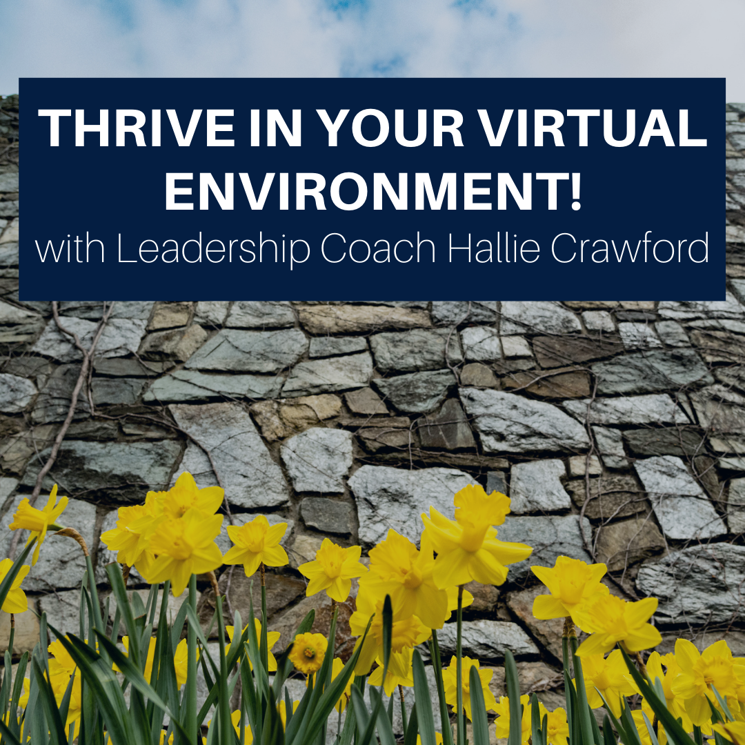 Thrive in Your Virtual Environment! Event Poster