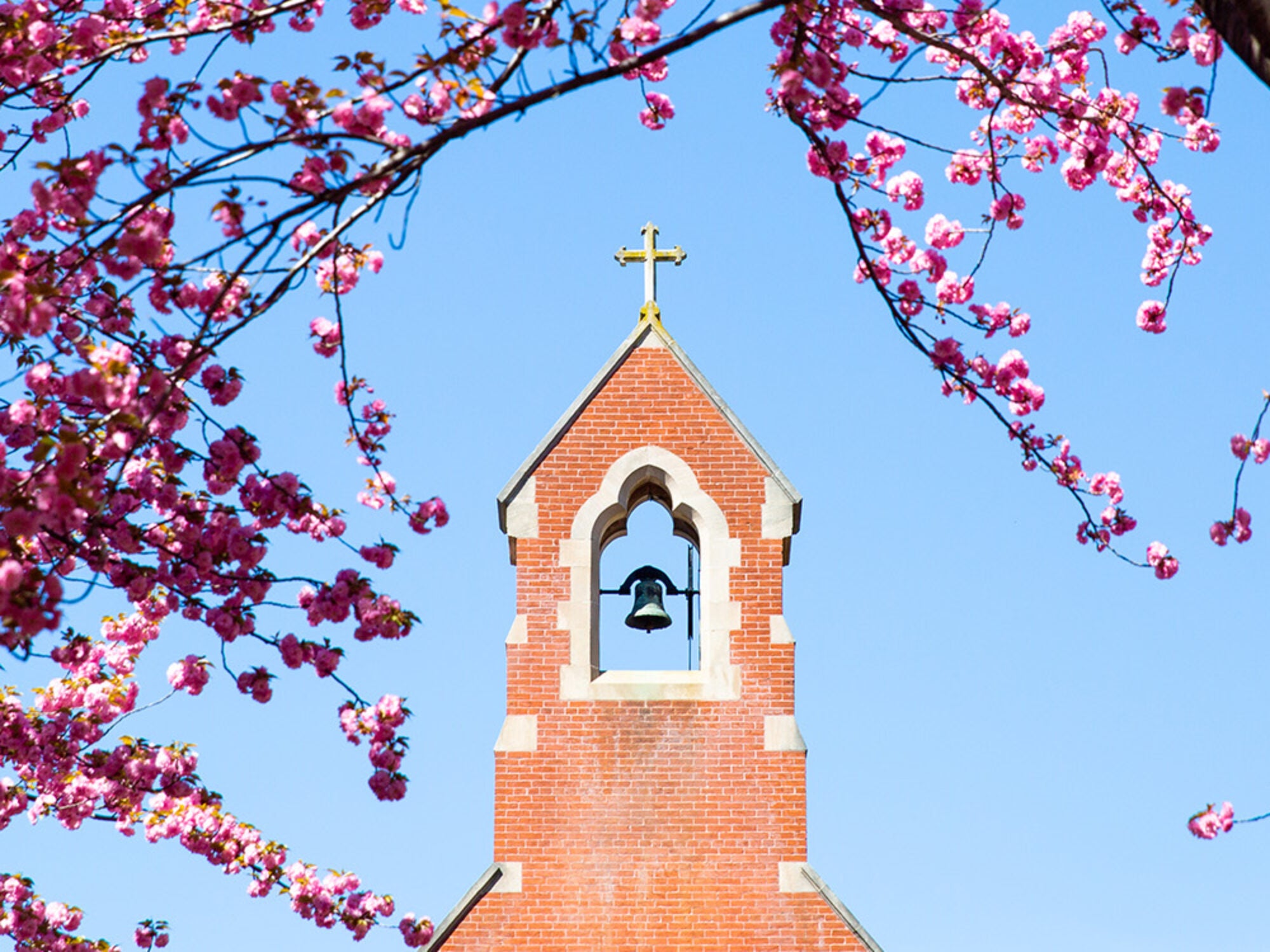 Dahlgren Flowers Sunrise