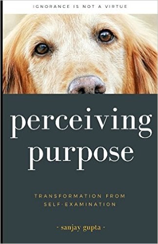 Perceiving Purpose book cover