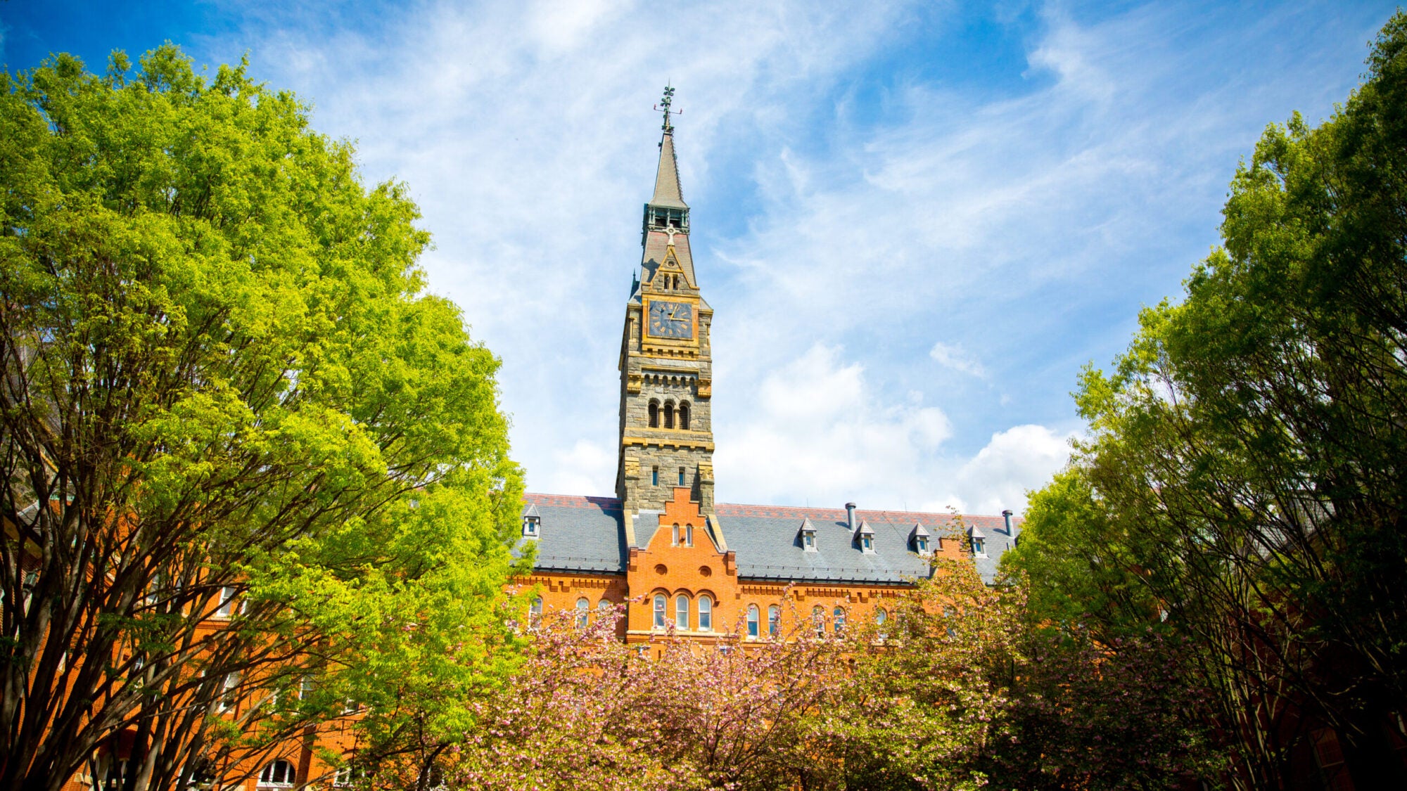 healy hall