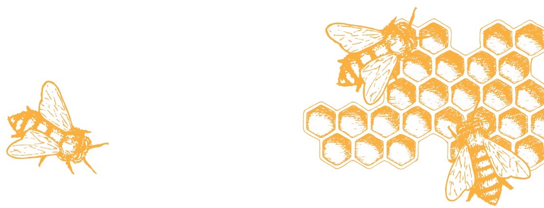 drawing of bees with honeycomb