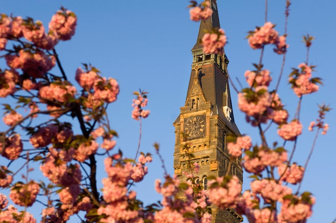 generic image of healy hall with flowers