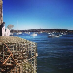 lobster cages