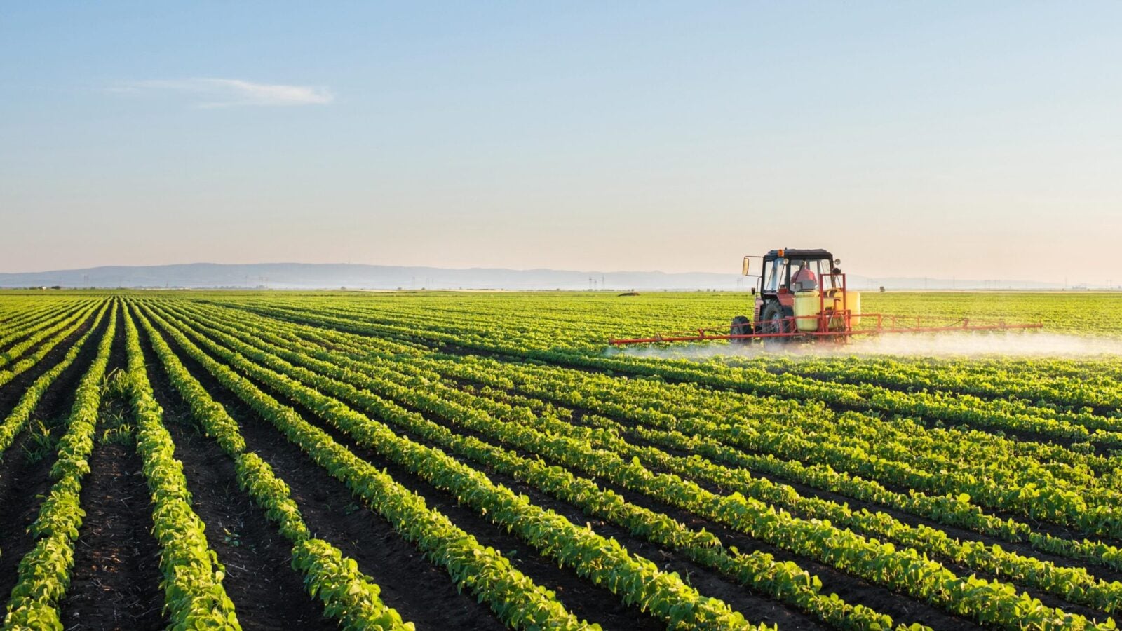 Tractor spraying soybean field at spring