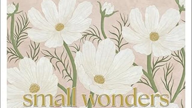 Small Wonders- A Field Guide to Life's Quiet Joys by Jennifer Shoop Book Cover