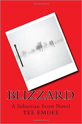 Blizzard book cover image