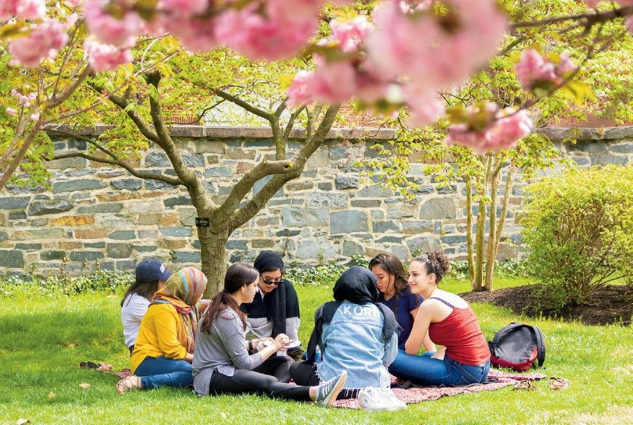 students sitting on lawn